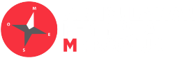 Logo de Articulación Feminista del Mercosur